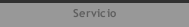 Servicio